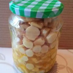 Ginger vinegar pickles (instant recipe) A picture of Ginger vinegar pickles (instant recipe).