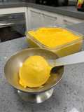 Mango passion fruit frozen yogurt