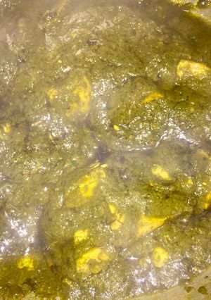 A picture of Palak paneer.