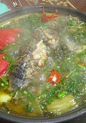 Hình của món Cá chép om dưa.