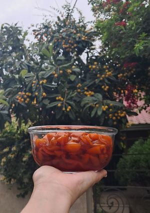 عکسی از دستور مربای ازگیل