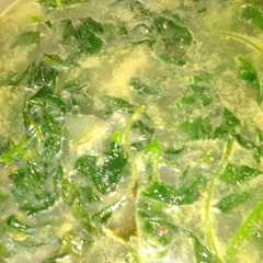 รูปของ Sayur bobor bayam