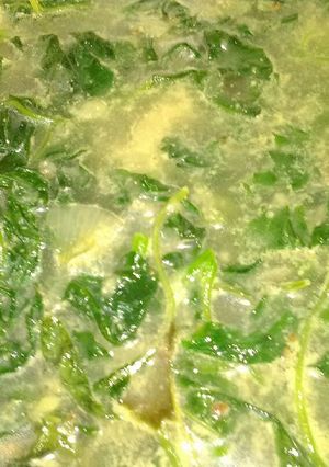 Foto resep Sayur bobor bayam
