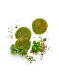 Chips de kale y guisantes | Veggie Snacks - Lékué