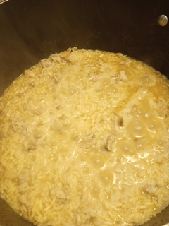 A picture of Rice and Bones.