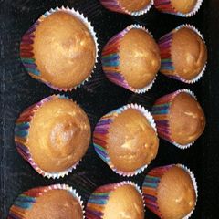 A picture of Vanilla cupcakes.