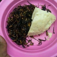 A picture of Termites with Ugali.