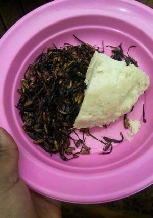 A picture of Termites with Ugali.
