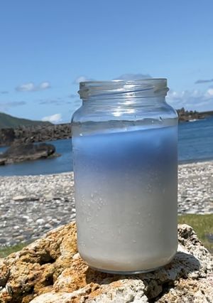 Butterfly Pea, Honey and Coconut Milk Drink 蝶豆花蜂蜜椰奶飲 的食譜成品照片
