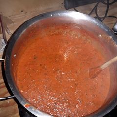 A picture of Opus Magnus Marinara.