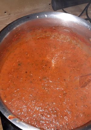 A picture of Opus Magnus Marinara.