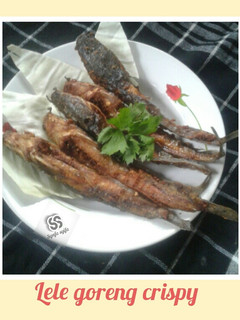 Foto resep Lele goreng crispy