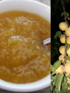 عکسی از دستور مارمالاد زردآلو