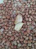 Salted Roasted Peanuts