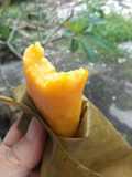 Nagasari Labu Kuning (Pais Waluh)