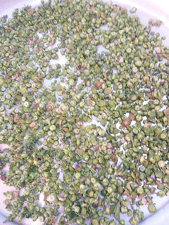 عکسی از دستور گل توله (گل پنیرک)