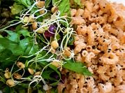 Una foto de ensalada de coditos