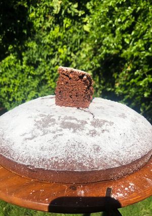Una foto de Torta Maluca con coco 🥥