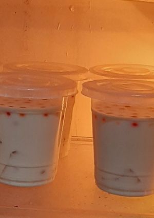 Foto resep 22. Es Longan Milky jelly