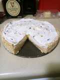 Frootloop Protein Rice Krispy Treat Cheesecake