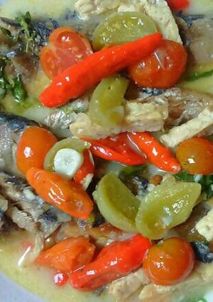 Foto resep Ikan Tongkol Kuah Santan