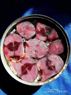 Una foto de Cómo preparar melvas en salazón