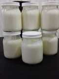 Yogur casero fácil