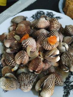 Foto resep Kerang dara saos tiram