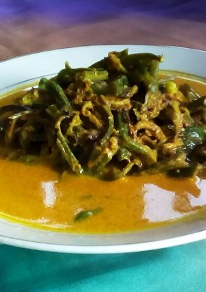 Foto resep Gulai paku (pakis)