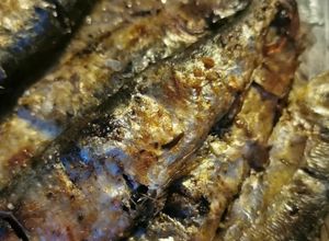 Foto de Sardinhas Assadas no forno