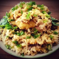 A picture of Mike's Slimy Chicken & Rice [awful name-excellent taste].