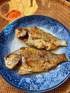 Hình của món Cá Móm Chiên.