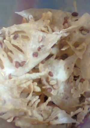Foto resep Rempeyek kacang tanah