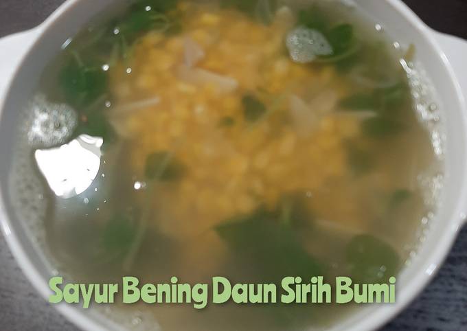 Sayur Bening Daun Sirih Bumi