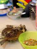 Ikan Baronang Bakar