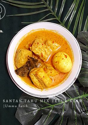 Foto resep Santan tahu mix telur ayam
