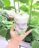 Sinh tố bơ sữa chua mix chia