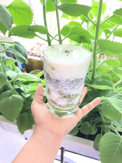 Hình của món Sinh tố bơ sữa chua mix chia.