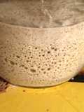 Levain, o fermento natural
