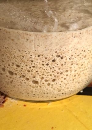 Foto de Levain, o fermento natural