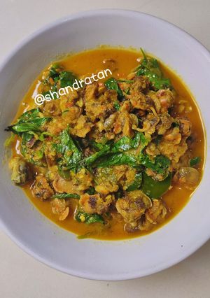 Foto resep Kerang saos padang (plus kemangi)
