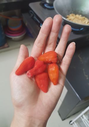 Foto resep Tips Dapur #03 Menyimpan Cabe