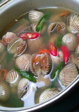 Foto resep Kerang dara bumbu kunci