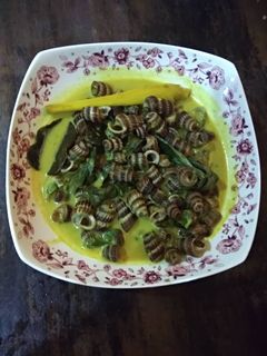 Gambar Siput Sedut Masak Lemak Cili Api