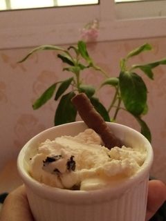 صورة لوصفة آيس كريم بمكونين 😍👍