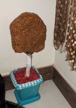عکسی از دستور سبزه عید طرح درختچه