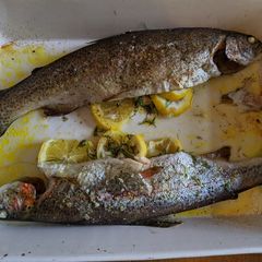 Baked whole trout with lemon and dill A picture of Baked whole trout with lemon and dill.
