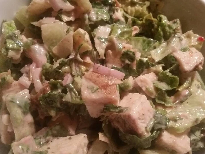 Easy Steps Make|Recipe} Cranberry-Chicken Chopped Salad Anti-Fail