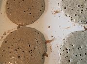 A picture of wholegrain buckwheat