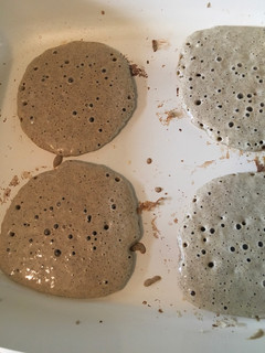 A picture of Buckwheat pancakes raised.
